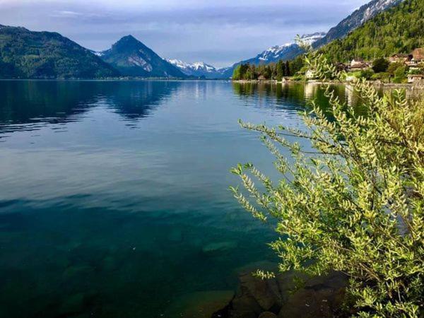 Апартаменты Privatzimmer Am Thunersee Лайссиген Экстерьер фото